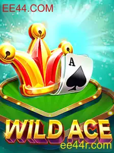 Explorando o Mundo Empolgante de WildAce: Novidades e Regras do Jogo
